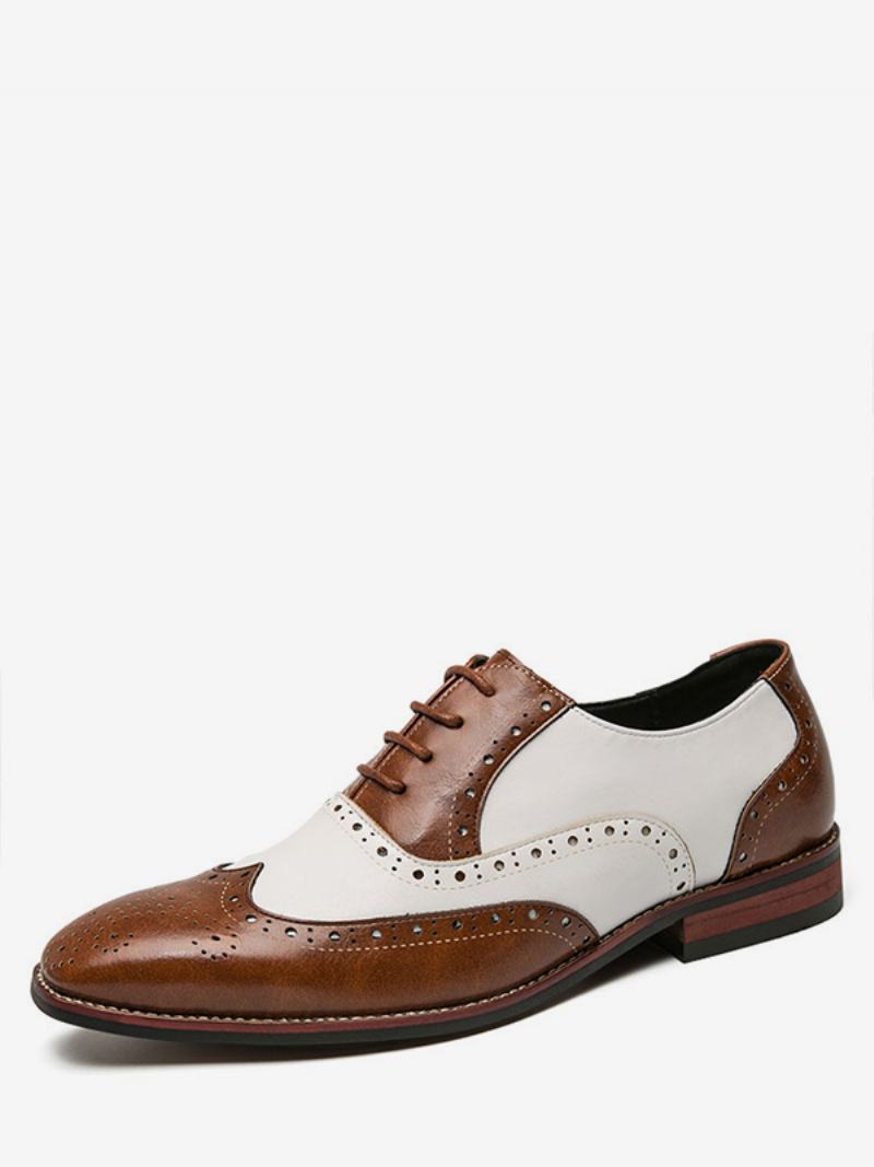 Oxfords Ανδρικά Παπούτσια Μοντέρνα Στρογγυλά Δάχτυλα Ρυθμιζόμενο Pu Δερμάτινο Λουράκι Με Άκρα Φτερών Brogues - Καφέ Καφέ