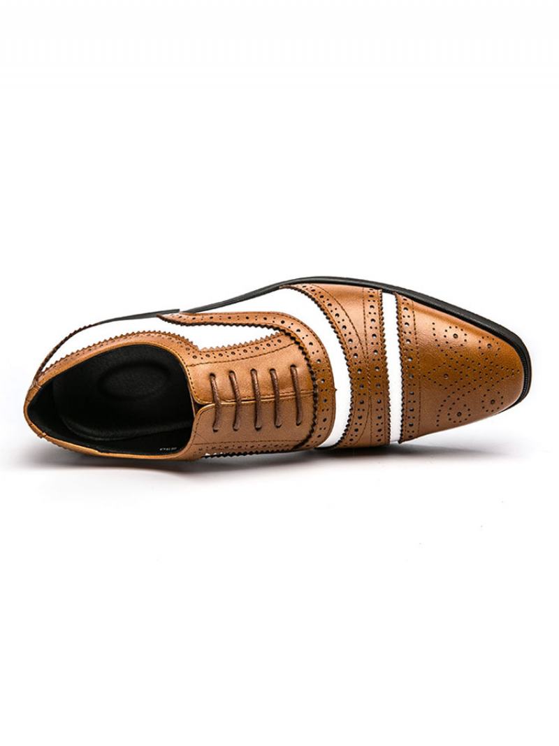 Ανδρικά Δίχρωμα Καφέ Brogue Oxfords Wedding Dress Παπούτσια Prom - Καφέ Καφέ