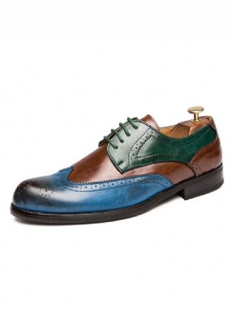 Ανδρικά Παπούτσια Derby Φόρεμα Color Block Wingtips