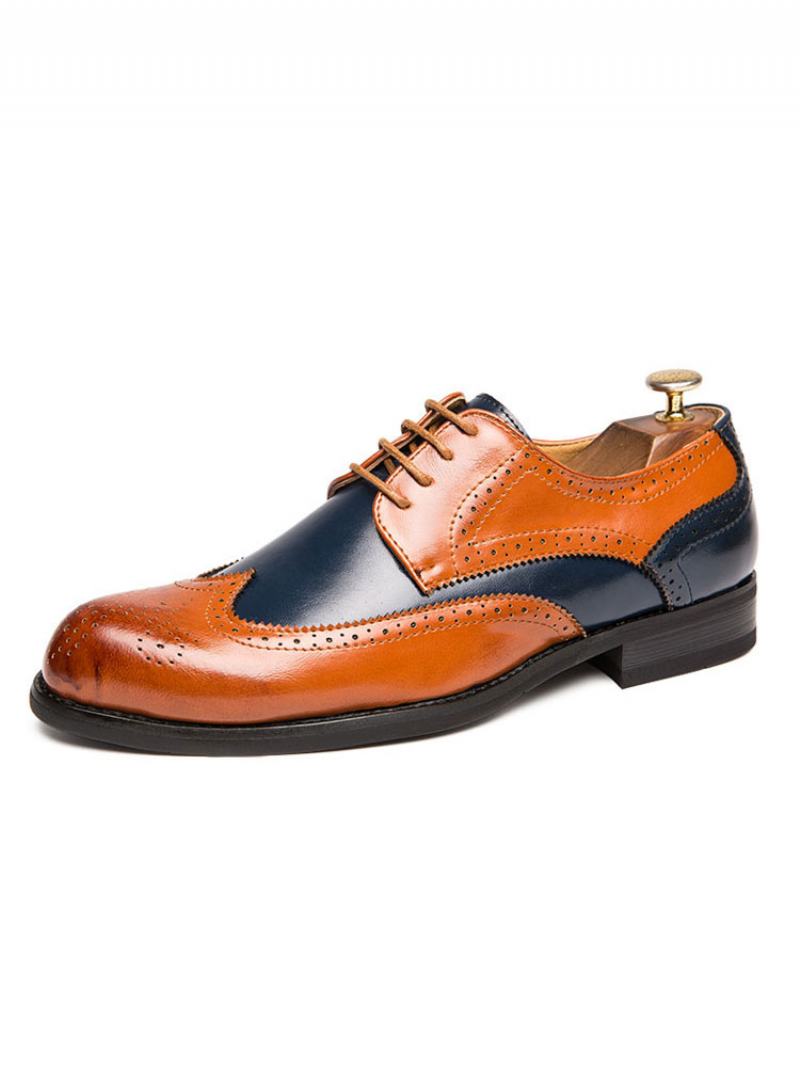 Ανδρικά Παπούτσια Derby Φόρεμα Color Block Wingtips - Καφέ Καφέ