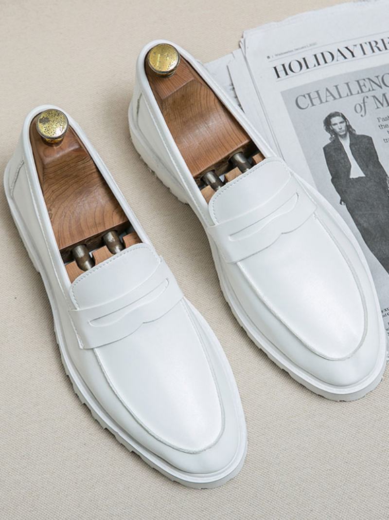 Ανδρικά Παπούτσια Loafer Cozy Pu Leather Monk Strap Slip-on - Λευκό